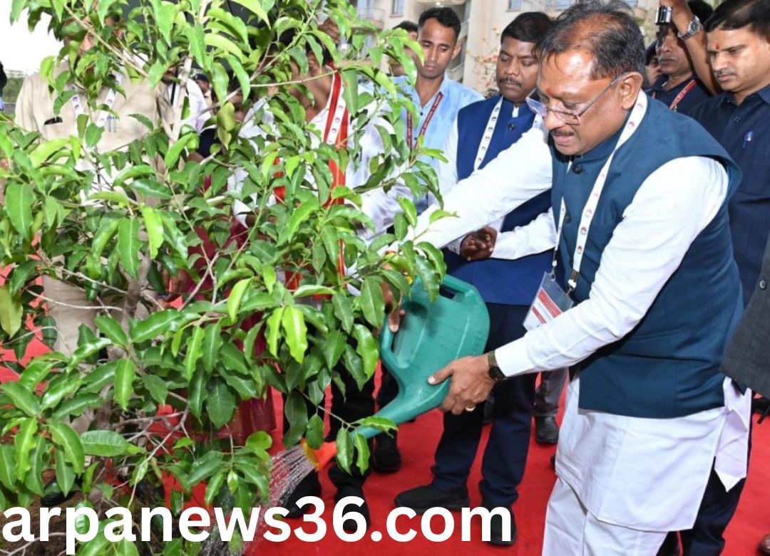 chhattisgarh news arpa news