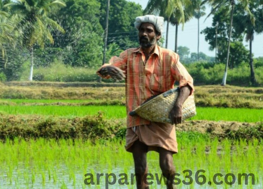 arpa news chhattisgarh news