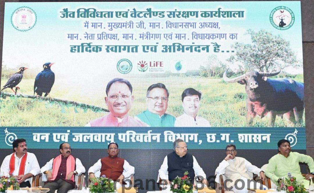 arpa news chhattisgarh news