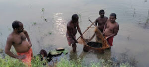 arpa news kurud news chhattisgarh news