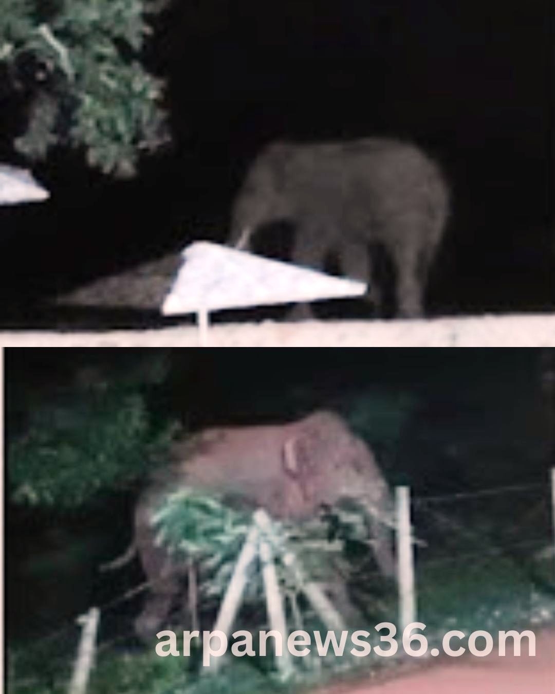 arpa news kurud news chhattisgarh news