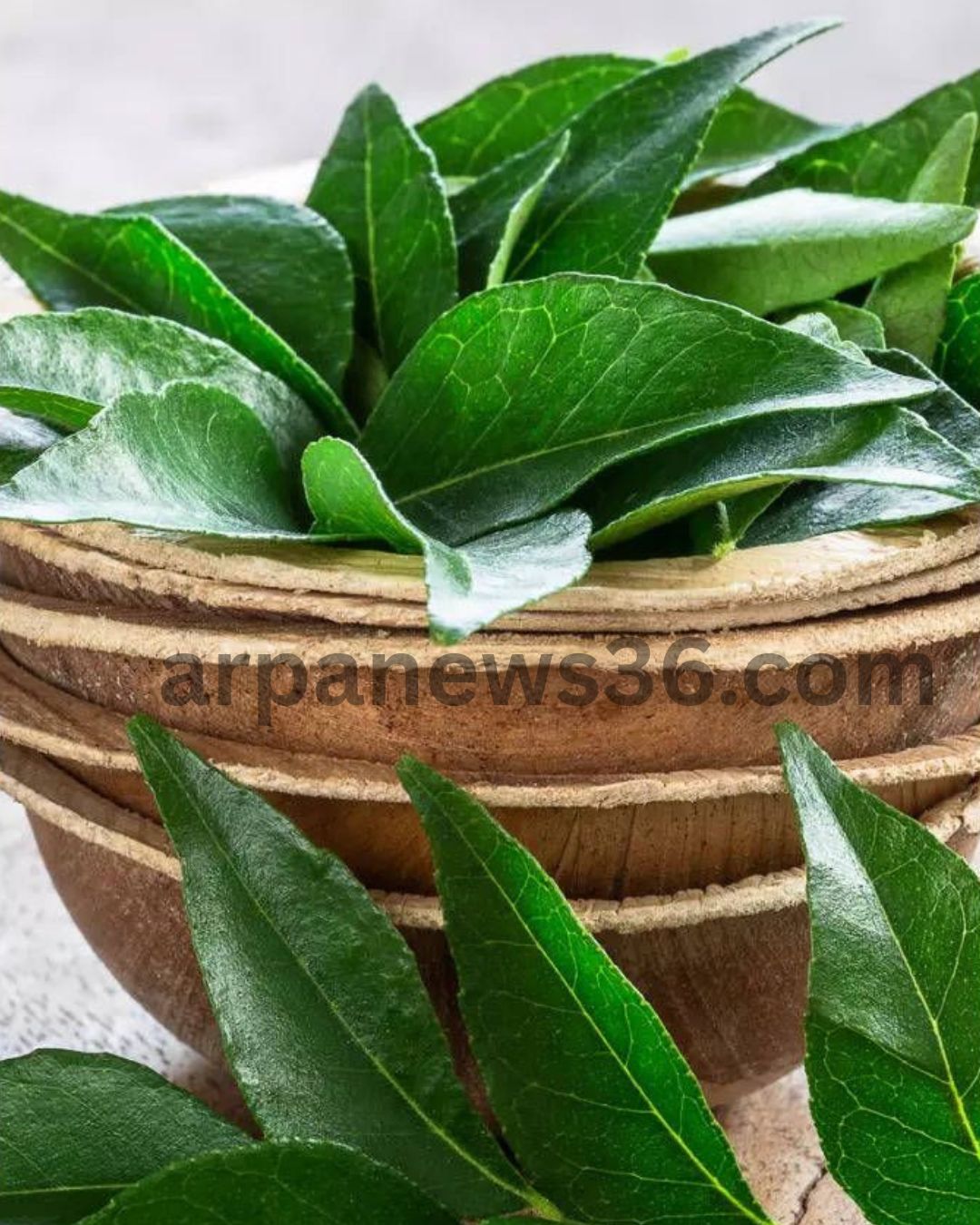 arpa news chhattisgarh news