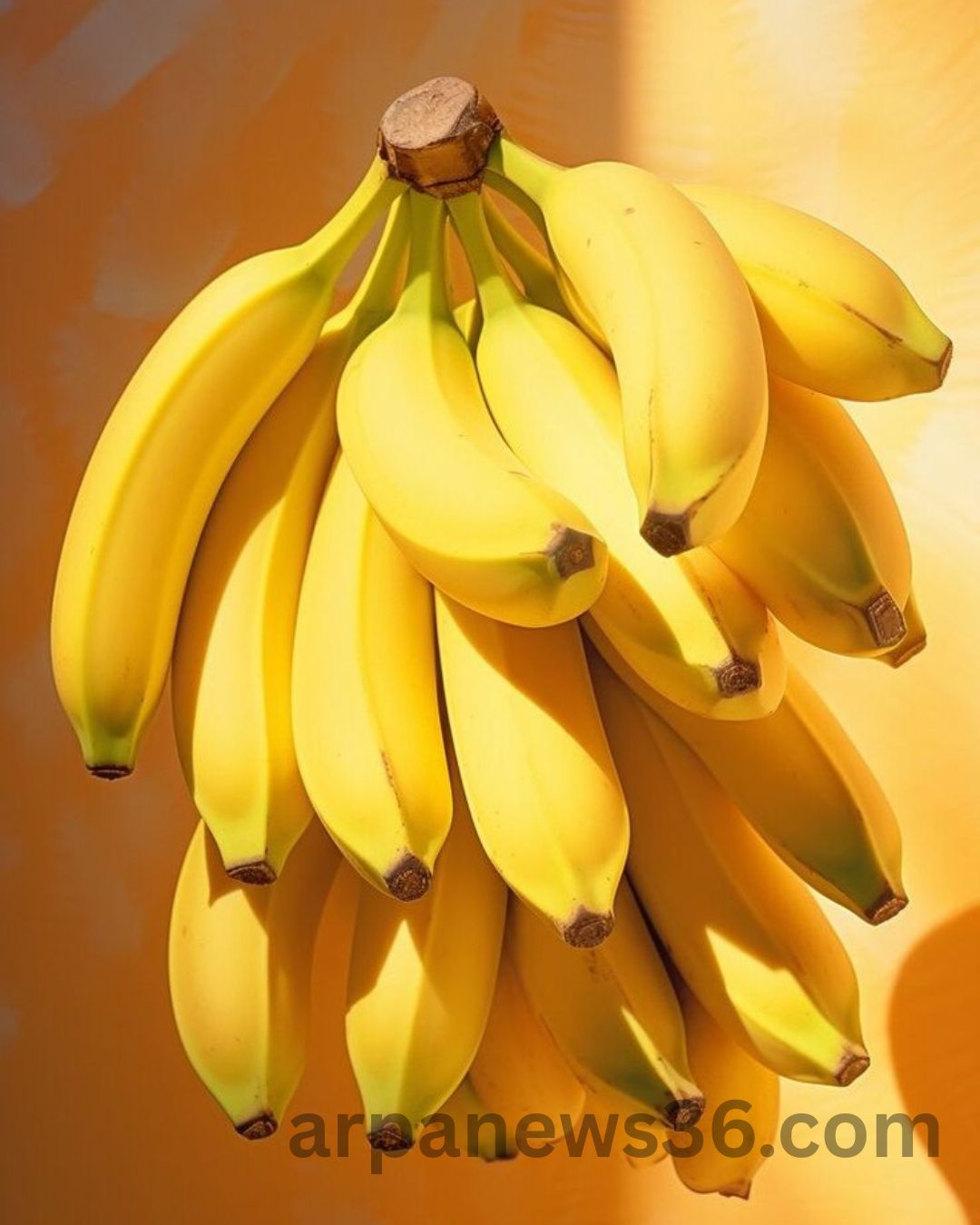 arpa news chhattisgarh news