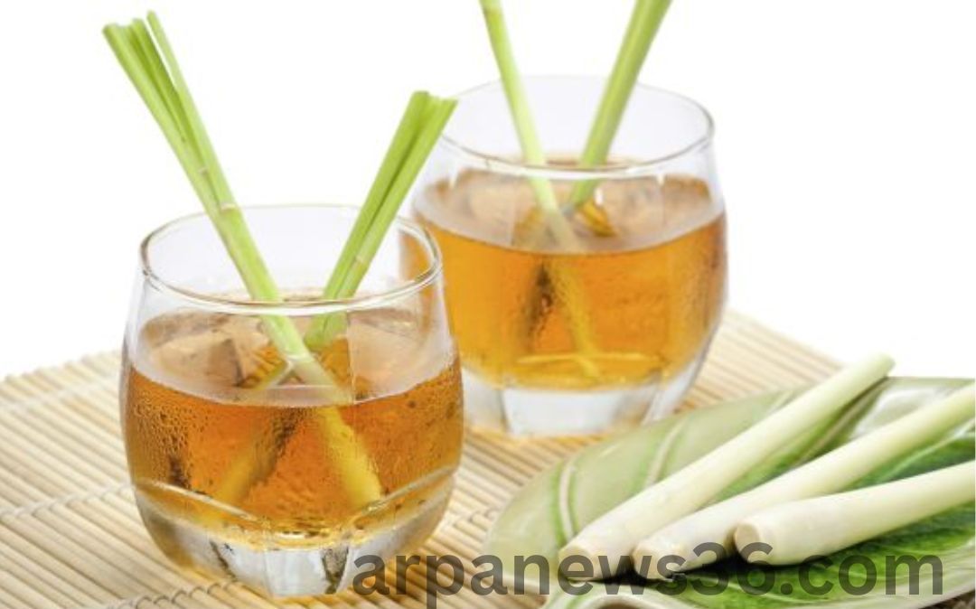 arpa news chhattisgarh news