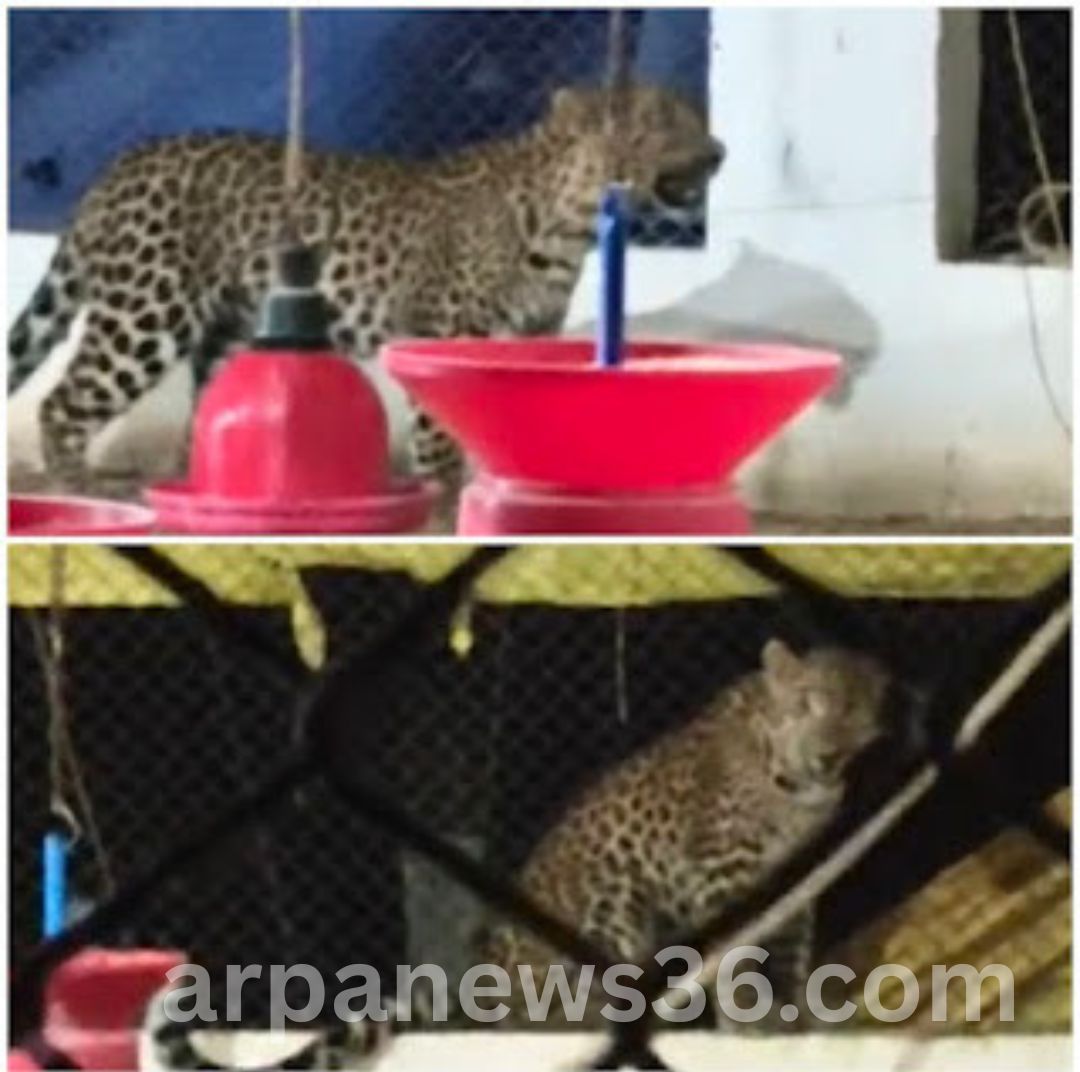 arpa news chhattisgarh news kurud news