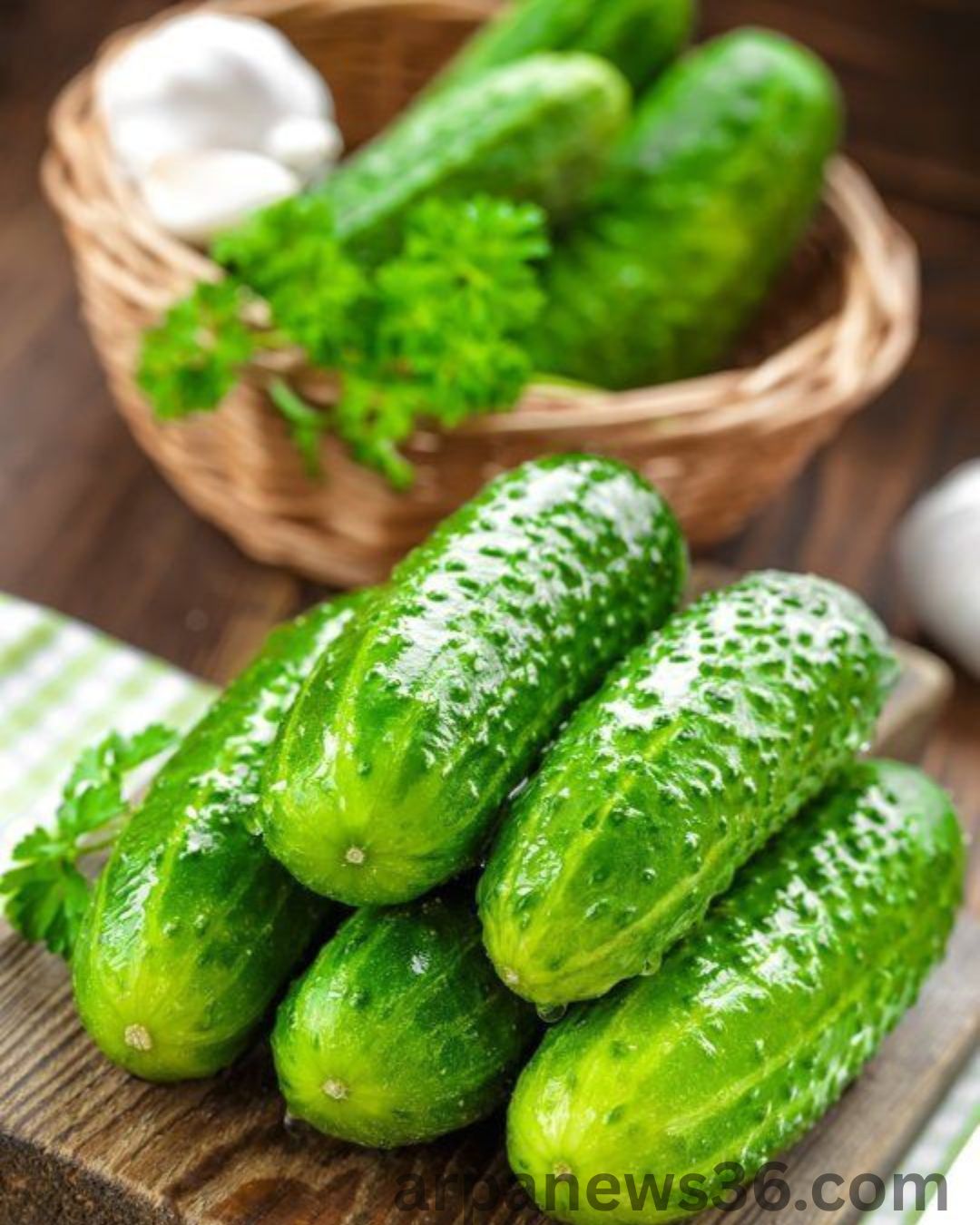 Cucumbers Side Effects: किन लोगों को खीरा नहीं खाना चाहिए? डॉक्टर ने बताए नुकसान और फायदे