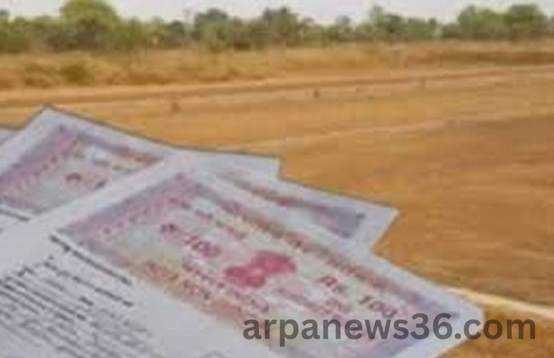 arpa news chhattisgarh news