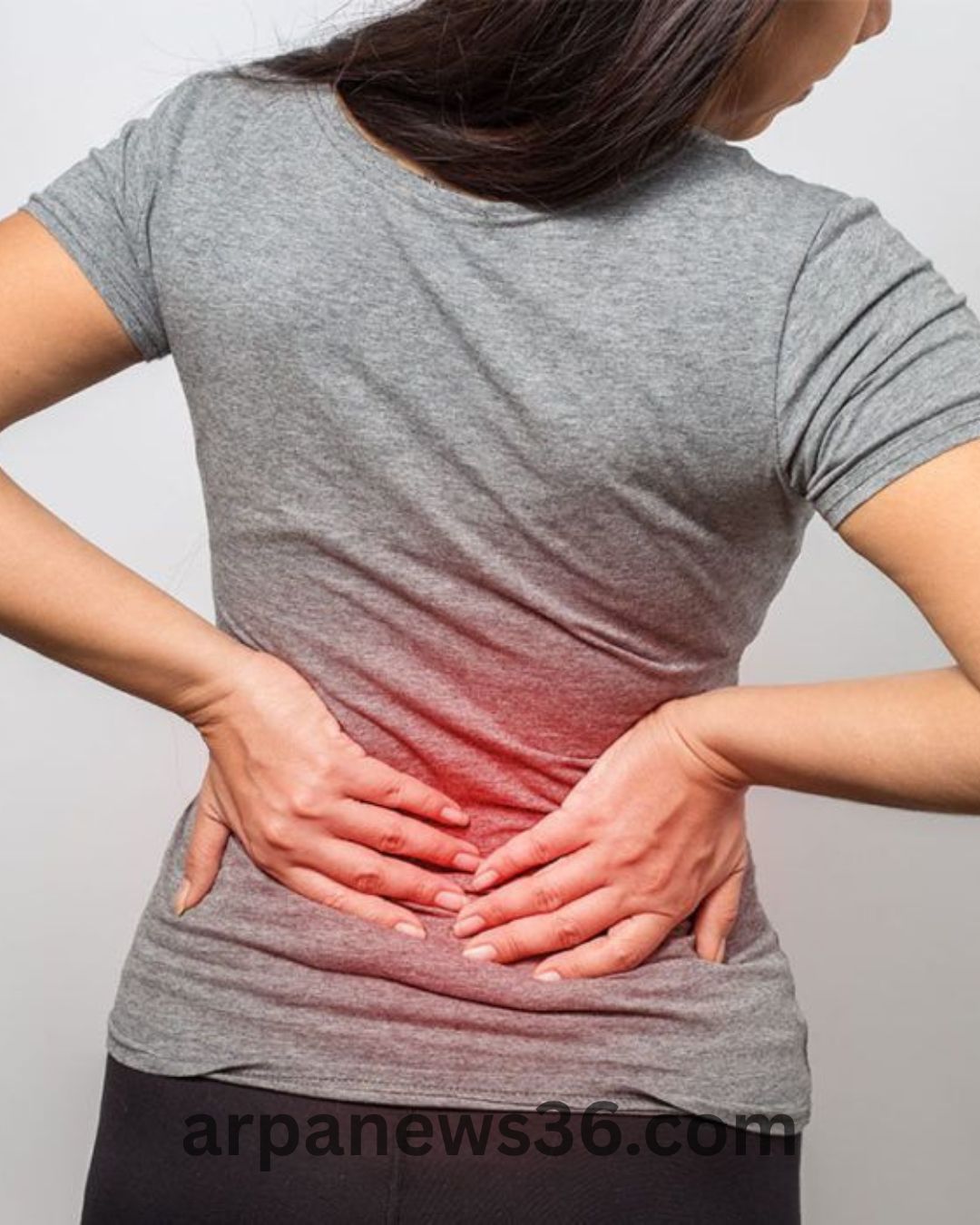 arpa news chhattisgarh news