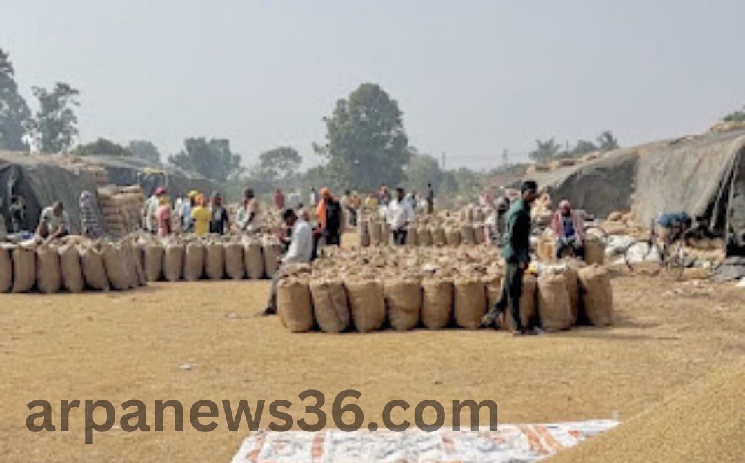 arpa news chhattisgarh news kurud news