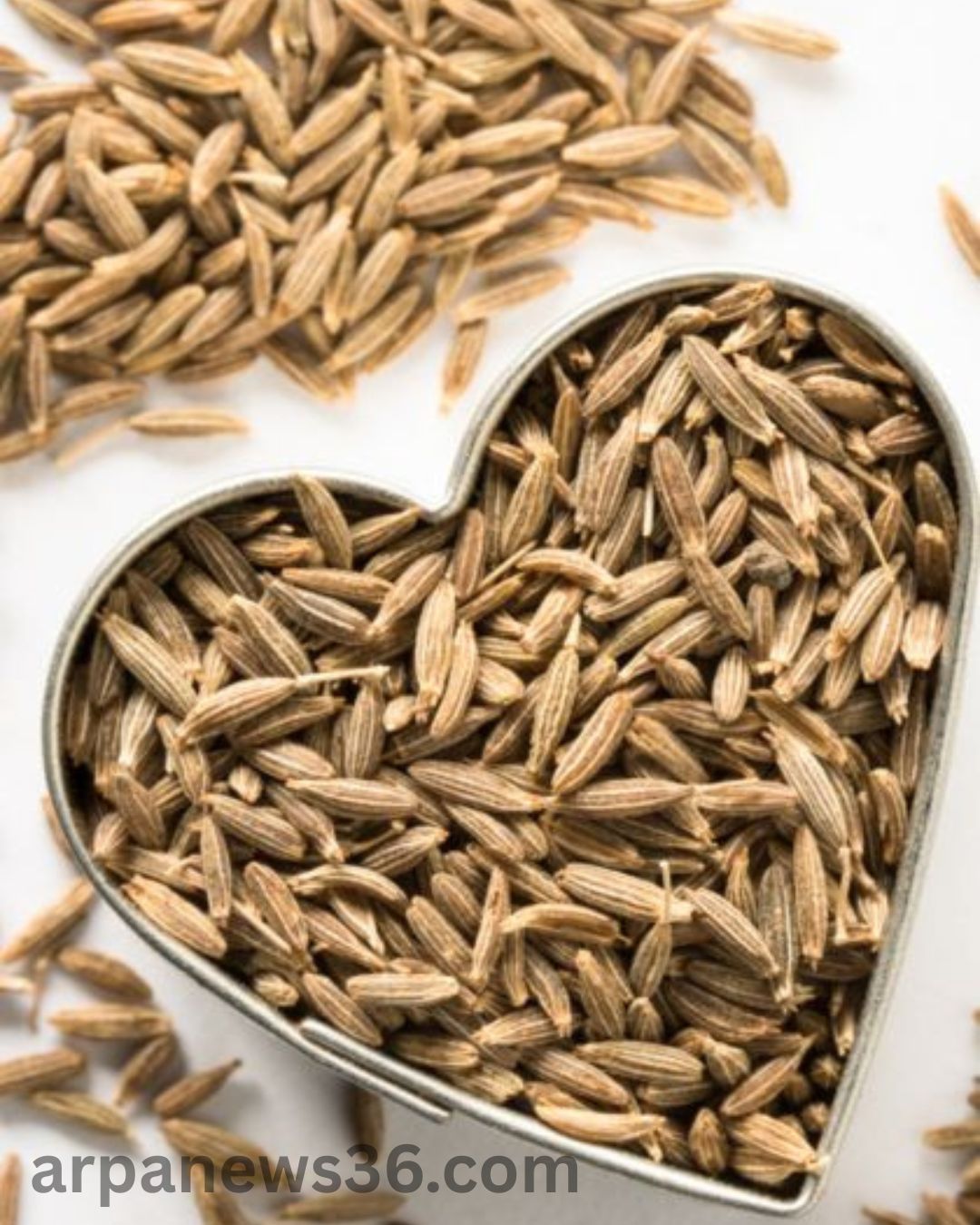 arpa news chhattisgarh news