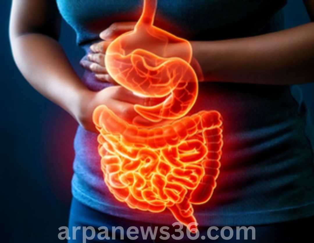 arpa news kurud news chhattisgarh news