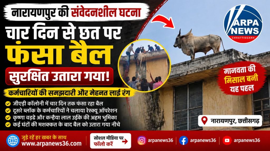 चार दिन छत पर फंसा बैल सुरक्षित उतारा, कर्मचारियों की सूझबूझ रंग लाई