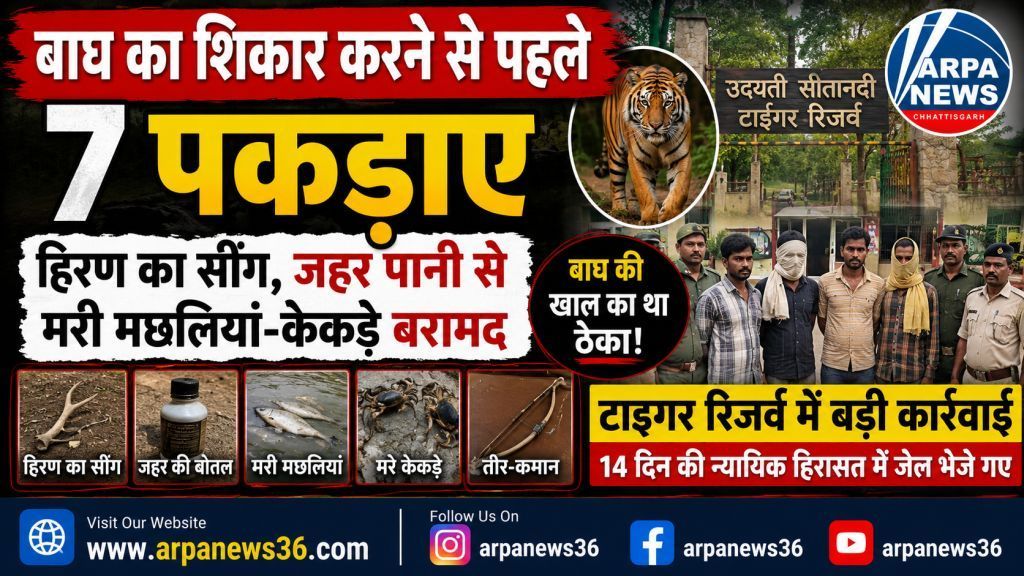 उदंती सीतानदी टाइगर रिजर्व में बाघ शिकार की साजिश नाकाम, 7 गिरफ्तार