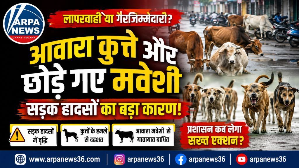कुरुद में आवारा कुत्तों और मवेशियों का आतंक, बढ़ते हादसों से दहशत में लोग
